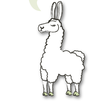 pgt-llama
