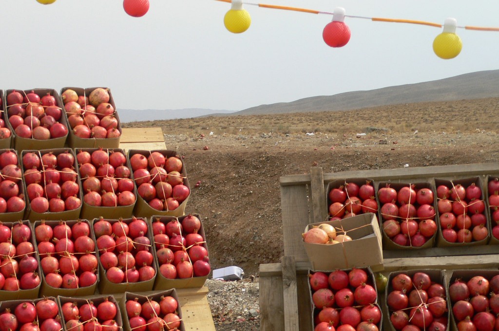 pomegranates-in-iran