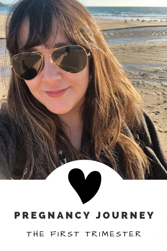 The First Trimester Pregnancy Journey Prettygreentea